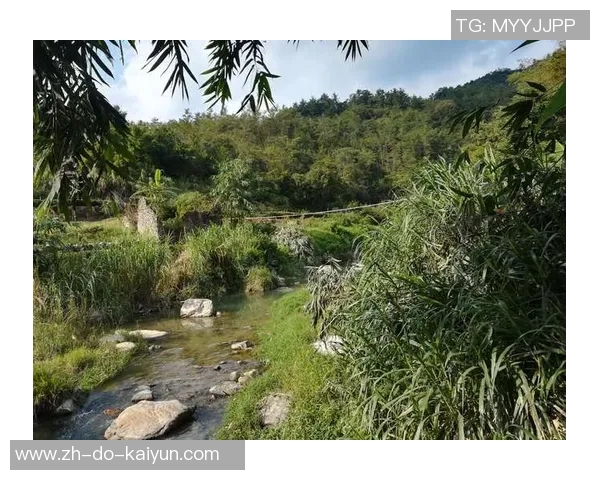 挑战极限的足球球星谜题大全 一起来考验你的球场智慧和眼力 挑战极限的足球球星谜题大全 一起来考验你的球场智慧和眼力